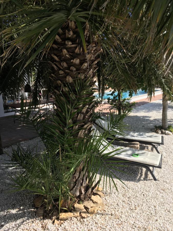 Cómpeta Casa-B Bed & Breakfast, Adults Recommended المظهر الخارجي الصورة